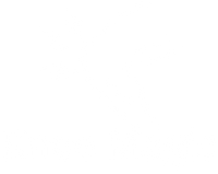 Knee Magic